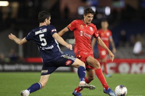 kaiyun-悉尼主场大胜东京，晋级希望重燃(日本传来噩耗损失惨重)